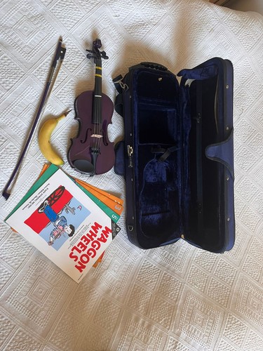 Size purple violin - 1/4,