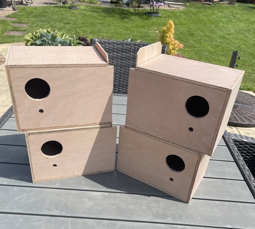 Budgie nest boxes complete - boxes,