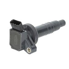 FITS MAGNETI MARELLI