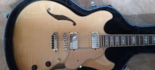 Ibanez artcore 103 - ibanez, as