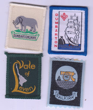 Boy Scout Badges Ext