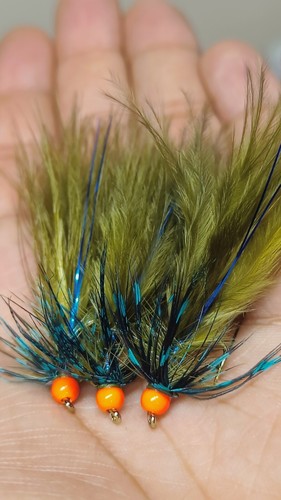 Olive hot head - , damsel