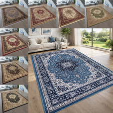 Luxury Large Traditional Rugs