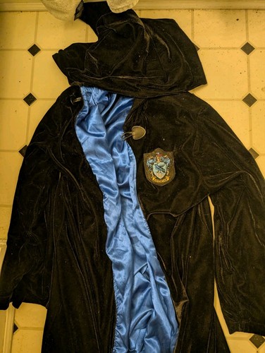 Harry potter ravenclaw costume - harry,