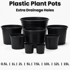 Black plastic plant pots - plastic,