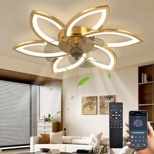 Led ceiling fan light - ceiling, with