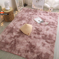Plush Carpet Living Room