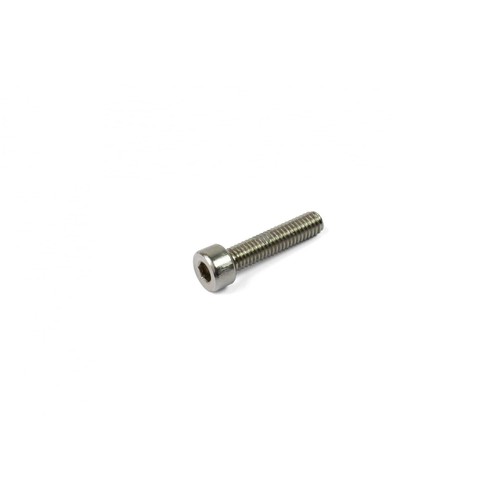 Hope ss cap screw - m4,