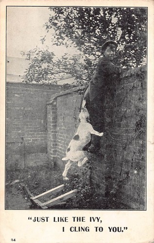 Postcard edwardian humour - -,