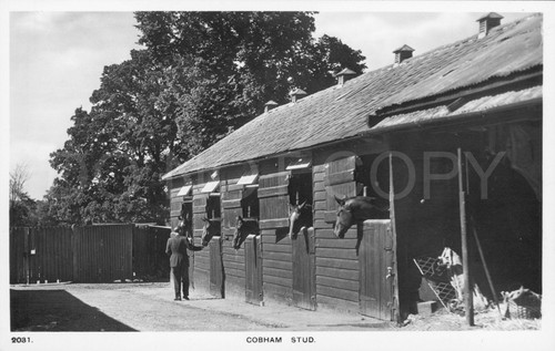Cobham rppc postcard c1900s - cobham,