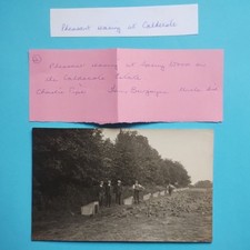 Pheasant Rearing, Spring Wood