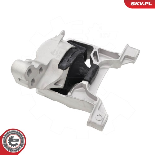 Fits skv germany - fits, 75skv484