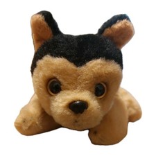 Russ Petooties Pets Rudy