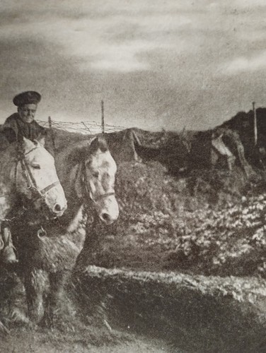 Sk315 ephemera ww1 picture - ephemera,