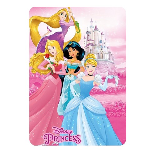 Disney princess fleece - fleece, blanket