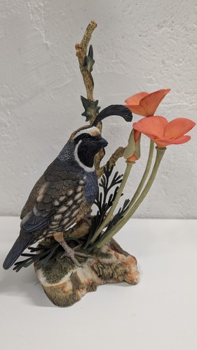 California quail with - quail,