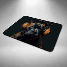 Staffordshire Bull Terrier DJ