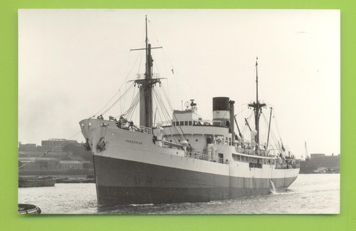 Pandorian ellerman line - ellerman,