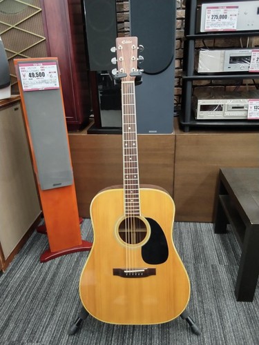 Elite takamine japan - tw-40,