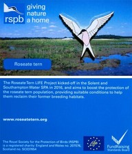 RSPB Pin Badge Special Solent