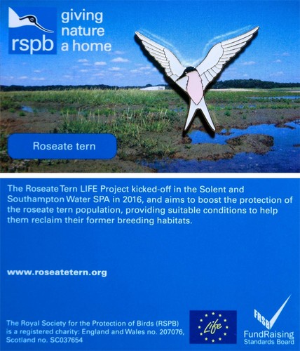 Rspb pin badge special - rspb,