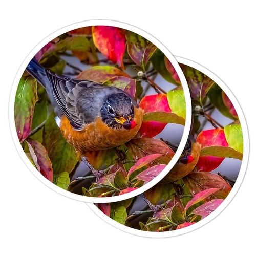 Vinyl stickers american - stickers,
