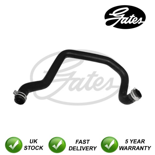 Gates lower radiator - lower, hose