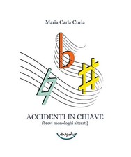 Accidenti in chiave [brevi