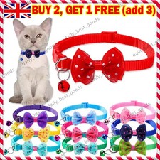 Kitten Cat Small Pet Puppy