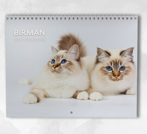 Birman cat calendar 2027 - calendar,