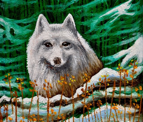Arctic fox original oil - arctic,