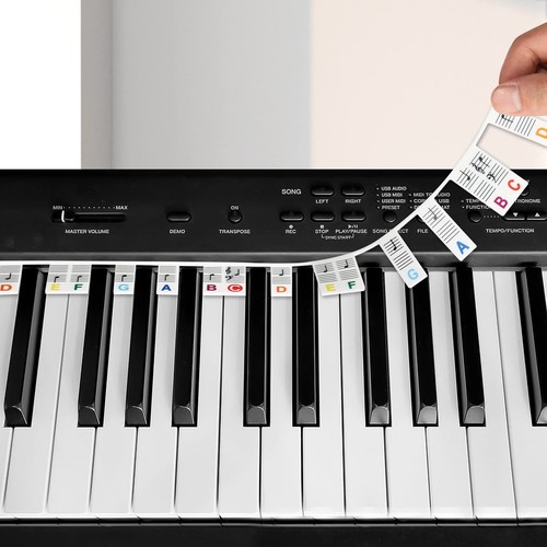 Removable silicone piano notes - piano,