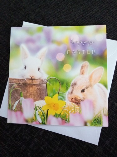 Happy easter card springtime - happy,