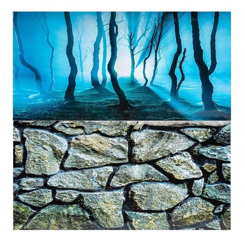 Aquarium fish tank - aquarium,
