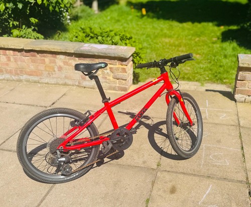 Frog kids bike - frog,