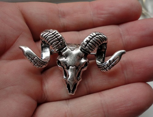 Goat rams head skull with - head,