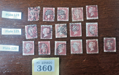 Penny reds plates - 16,