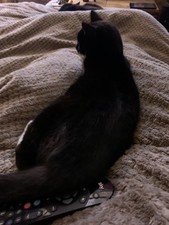 Hibiscrub Plus 125ml Singles