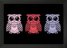 Three colored owls Framed Wall