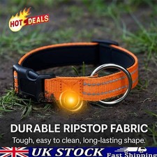 Pawliberation Magnetic Dog Collar - Durable Material + Heavy-Duty Buckle UK~