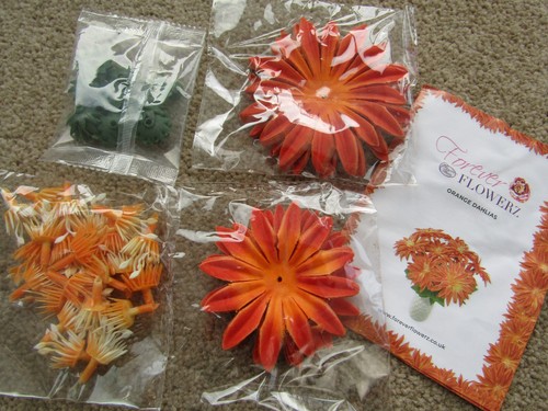 Forever flowerz dahlias - forever,