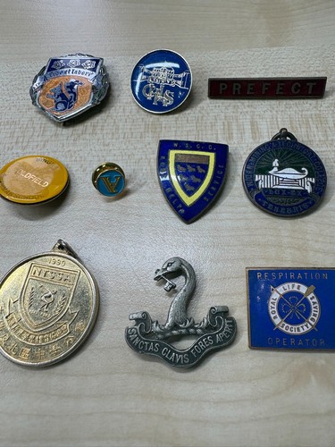 Vintage school pin badges - school,