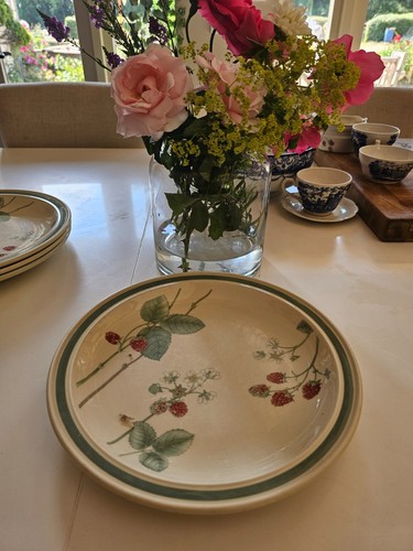 Wedgewood raspberry cane - ,
