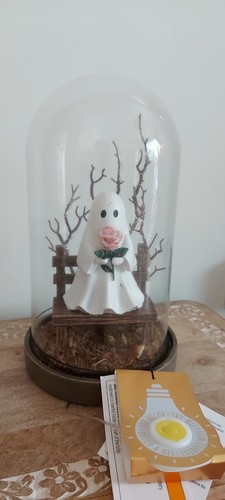 Maxx homesense halloween - maxx,
