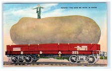 Vintage Maine Giant Potato B&A