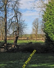 Photo 6x4 Harston: flail hedge-cutting Harston/TL4251 In the mild winter c2016