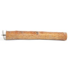 Birch branch parrot perch - branch,