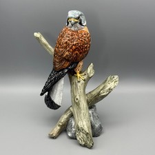 Mack Kestrel on a Branch Bone