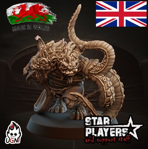 Fantasy football chaos - chaos, star