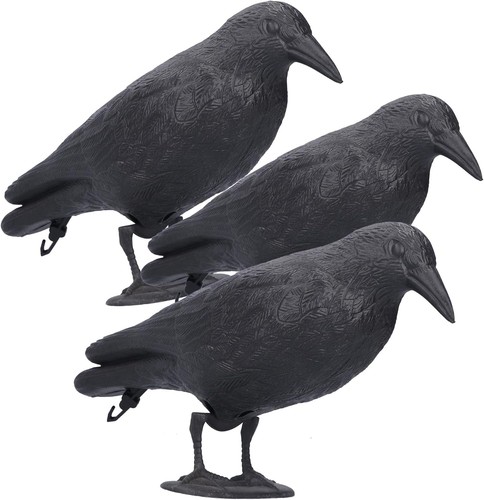 Realistic crow decoys life - decoys,,